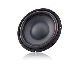 How 10-Inch Subwoofer Speakers Can Enhance Professional Audio